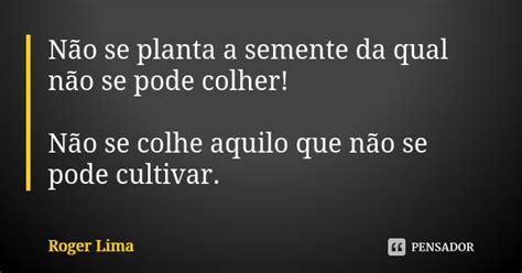 Não Se Planta A Semente Da Qual Não Se Roger Lima Pensador