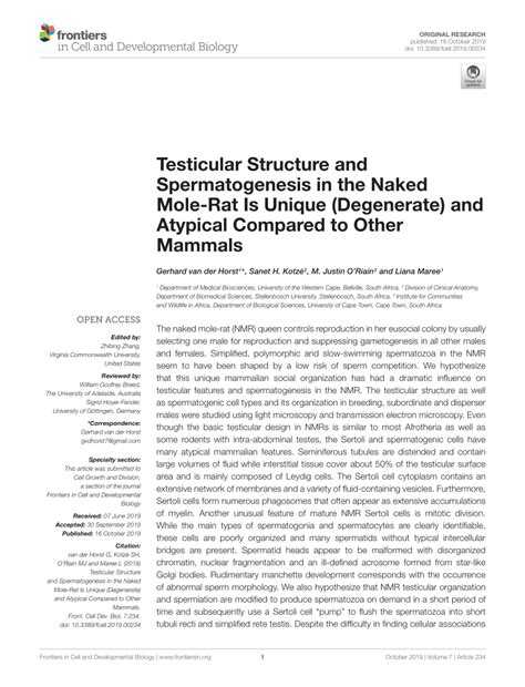 PDF Testicular Structure And Spermatogenesis In The Naked Mole Rat Is Unique Degenerate And