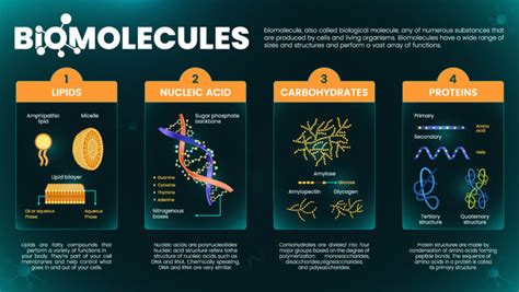 Biomolecules Imagens Procure 4278 Fotos Vetores E Vídeos Adobe Stock