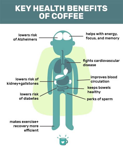 Health Effects Of Caffeine Infographic