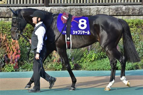 【有馬記念】g1馬9頭に「半信半疑」も期待の声多数？不意の来訪者も登録した今年 「25年ぶり」の珍事もすでに確定 Gj