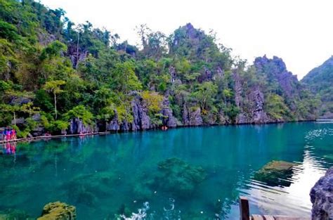 Barracuda Lake. Coron Island, Philippines. | Coron island, Coron island ...