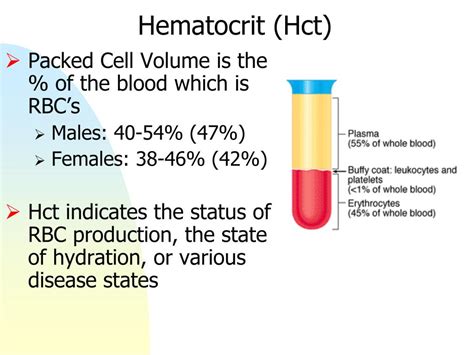 PPT Lab 5 Blood Lymphatics And The Immune Response PowerPoint