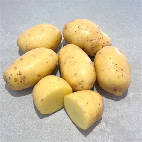 Potato Natascha Fairbanks Seeds New Zealand