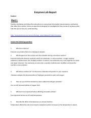 Enzymes Lab Report Docx Enzymes Lab Report Student Part I