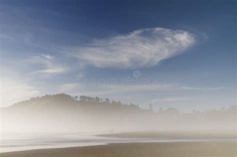 Morning fog stock image. Image of landscape, cloud, beaches - 6768691