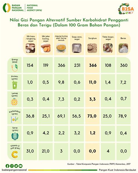 Badan Pangan Nasional Infografis