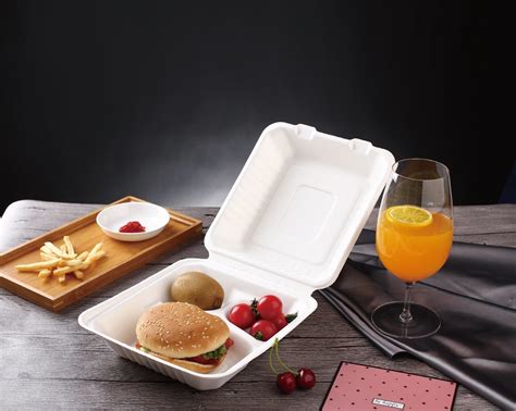 Biodegradable Food Container Disposable Takeaway Machine 100 Making