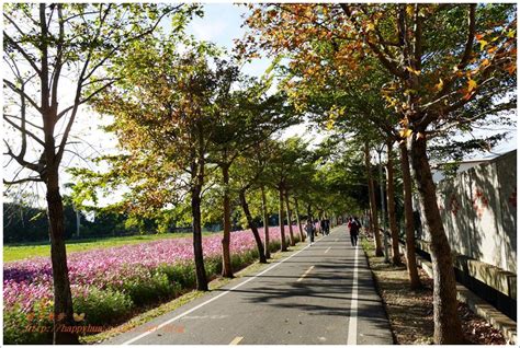 台中一日遊景點︱潭雅神綠園道～騎車兜風賞美景 橫跨潭子、大雅及神岡的自行車專用綠園道 台中半日單車小旅行 適合親子遊 晴天散步