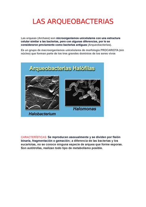 Tipos De Arqueobacterias