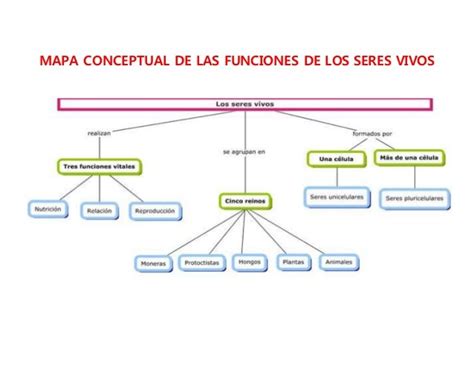 Mapa Conceptual De Los Seres Vivos Mapas Conceptuales