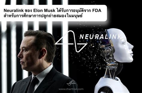 Neuralink ของ Elon Musk ถูกอนุมัติโดย Fda สำหรับการศึกษาการปลูกถ่ายสมองในมนุษย์ Charttrail