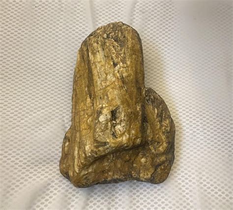 petrified rock   sticking    river