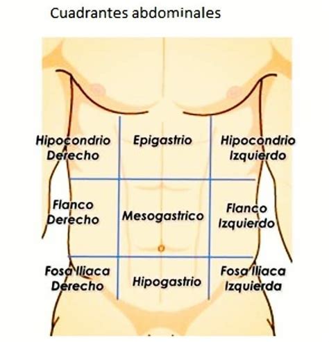 Cuadrantes Abdominales Notas De Enfermer A Abdominales Medical