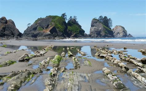 Shi Shi Beach Washington A Travelers Guide Pin Adventures