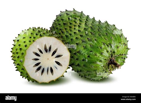 Annona Muricata Hi Res Stock Photography And Images Alamy