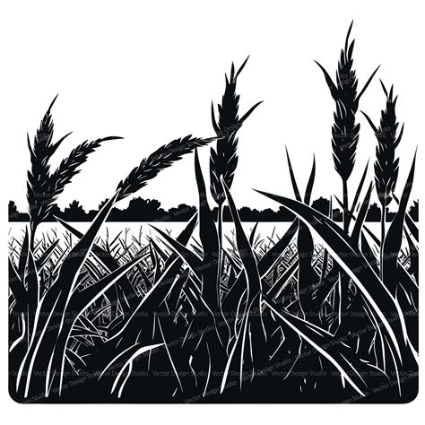 Corn Field Svg PNG Files Farmers Clipart Silhouette Gain Vector