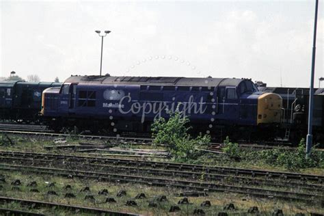 The Transport Treasury Class 37 Tduk1999 206 Uk Br Class 37 37803 At Didcot 18 04 1999