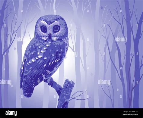 Wise Owl Hi Res Stock Photography And Images Alamy