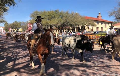 Things To Do In Fort Worth Texas Cattle Drive Gardens Tacos And More