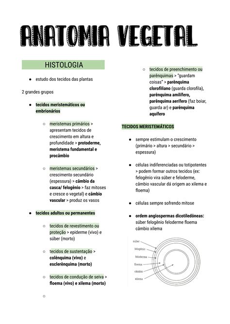 SOLUTION Nica Anatomia Histologia E Fisiologia Vegetal 2 Studypool