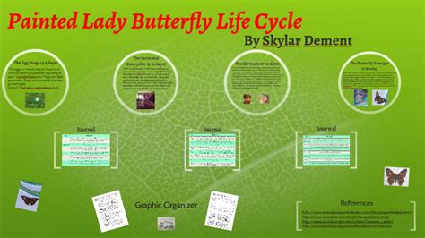 Painted Lady Butterfly Life Cycle Timeline - Life Cake Gala