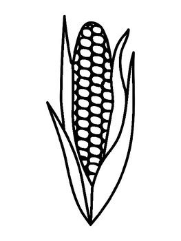 Corn Templates Corn Coloring Pages Corn Outline Corn Template | TpT