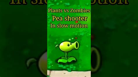 Peashooter Animations Plants Vs Zombies 1 2 Plantsvszombies