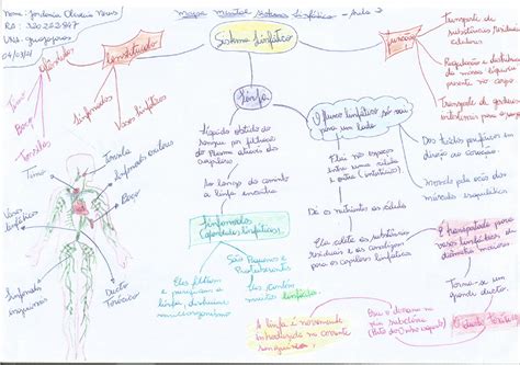 Mapa mental sistema muscular Baixe em PDF grátis