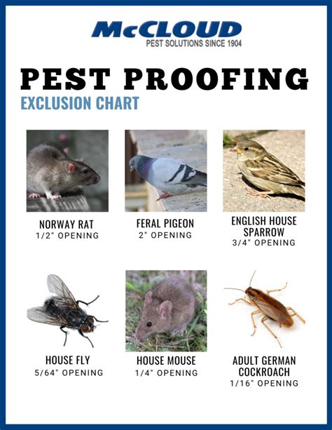 Pest Proofing Your Building Inside And Out Mccloud Pest Solutions