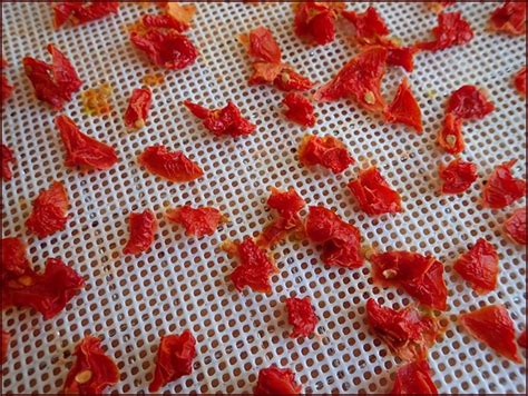 Dehydrating Tomatoes 7 Ways To Slice Dice And Season Them