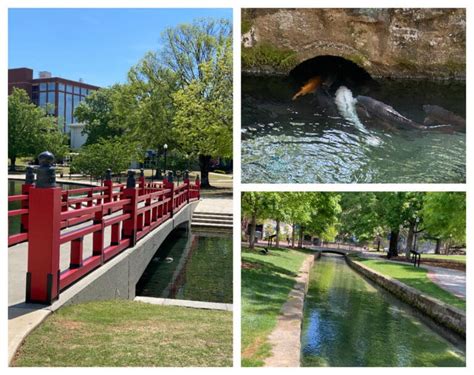 29 Best Things To Do In Huntsville Wherever I May Roam Travel Blog