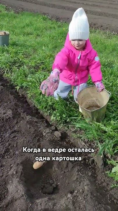 енот на даче #пранк #жиза #енотик #youtubeshorts - YouTube