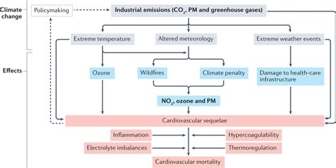 Medvasc Climat Et Risque Cv