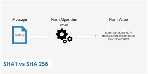 Sha Vs Sha Keycdn Support