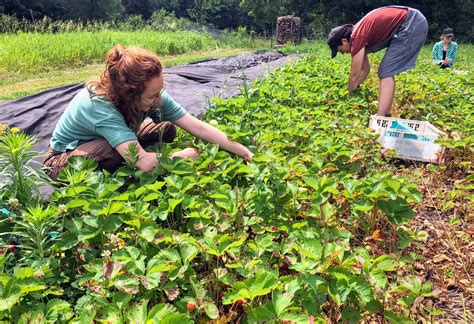 Join Us — North Country Food Alliance