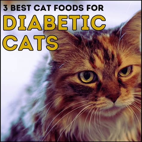 3 Best Cat Food For A Diabetic Cat Non Prescription 2023