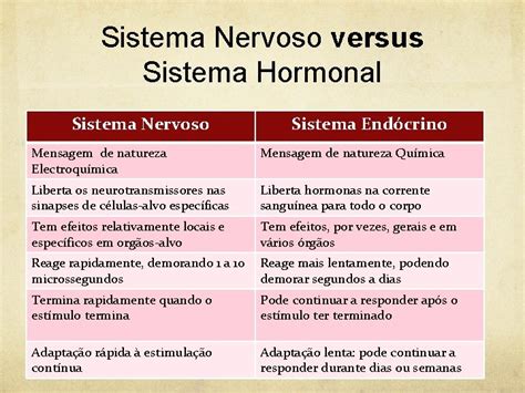 Sistema Neurohormonal Sistema Nervoso Constituio Do Sistema Nervoso