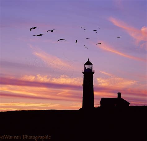 Lundy Old Lighthouse At Sunset Photo Wp03575