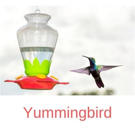 What is the Best Bee-Proof Hummingbird Feeder? We Asked The Experts