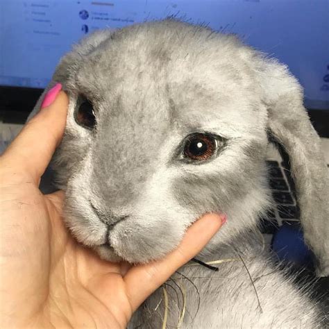 Мастерская реалистичных игрушек