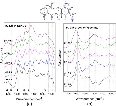 Atr Ftir Difference Spectra Of Tc In Aqueous Solution A And Of Tc