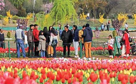 Kashmir Ready To Greet Summer With Record Breaking Tourist Footfall