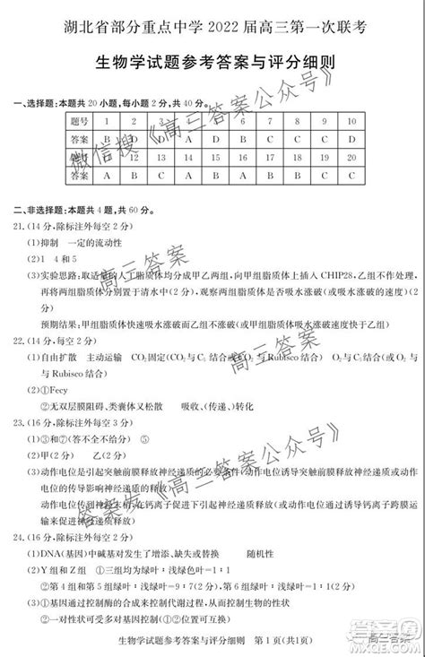 湖北省部分重点中学2022届高三第一次联考生物试题及答案 答案圈