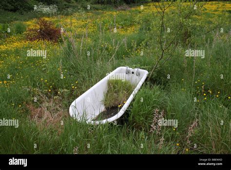 Old bath in garden Stock Photo - Alamy