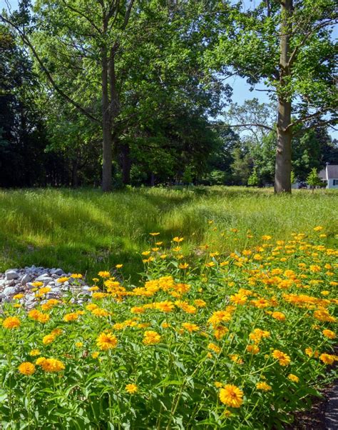 Brookwood Area Metropark Edge