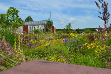 Flower Meadow Heaven Hut Free Photo On Pixabay Pixabay