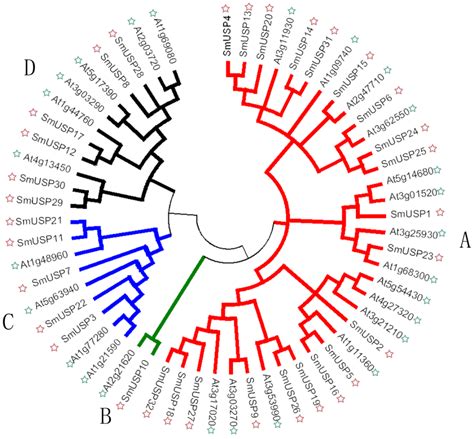 Genes Free Full Text Functional Characterization Of Selected