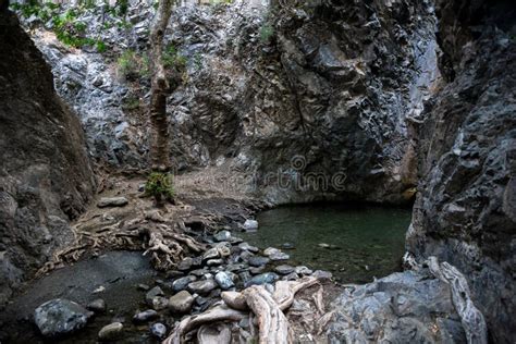 Den Millomeris Vattenfallet Vaggar In Grottan Troodos Berg Arkivfoto