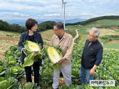 농식품부 추석 성수기 대비 배추·무 생산 현장 점검